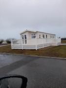 Swallows at Silversands