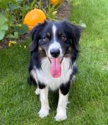 Top Vendegies-au-Bois