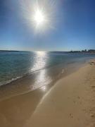 Top Paralimni