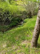 Top Polańczyk Top Polańczyk