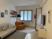 Il giardino dei limoni