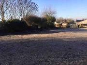 Top Saint-Amand-les-Eaux