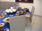 Top Uras