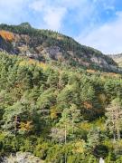 Top Canfranc-Estación