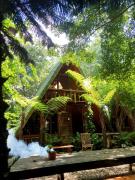 tropical garden homestay