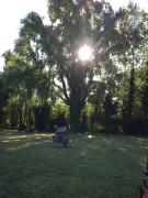 Top Colonia Las Rosas