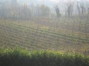 Top Cavalcaselle