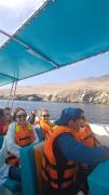 Top Paracas