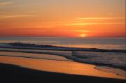 Top Pawleys Island