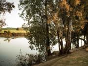 Top Bonnievale