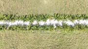 Aashaan View Thoddoo