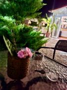 Top Trevignano Romano