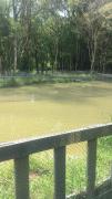 Top Lagoa Verde