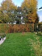 Top Nussdorf am Attersee