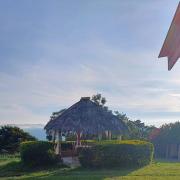 Top Angostura Top Angostura