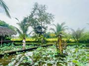 Top Làng Phước Bửu