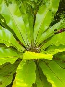 Shaabey Accomodation