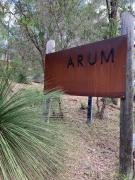 Arum - Close to the Margaret River