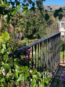 Top Elizondo Top Elizondo