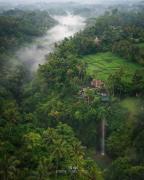Top Ubud
