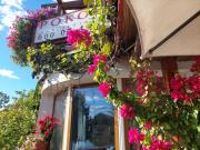 Zakątek nad jeziorem Ełk