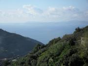 Casa Vacanza Puntaferano