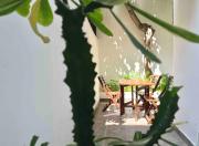 Top Athens Top Athens