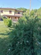 il boschetto da Tiziana