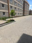 Top Nakuru
