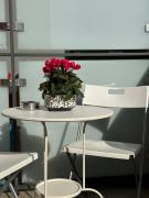 Top Villanova dʼAsti