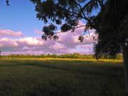 The Blue Sapphire Of Wilpattu