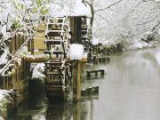 信州安曇野穂高温泉郷　旅館　山のたこ平