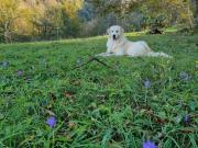 Top Lourdios-Ichère Top Lourdios-Ichère