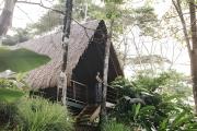 Balsa Nueva Lodge-Farm Stay & Café-Ocean & Jungle-Views