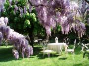 Top Thonon-les-Bains