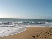 Top La Faute-sur-Mer