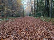House Apartma Čebela with jacuzzi
