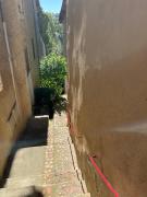 Le Tapis Vert - Loft avec jardin