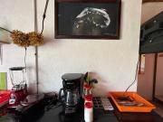 Pasifica Studio