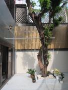 Top Bangkok Top Bangkok