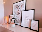 Chalet Pierco Chalet Pierco