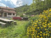 Top Rouvenac Top Rouvenac