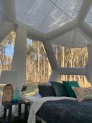 Coonawarra Hampton Bubble 4