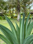 Top San Bernardo del Viento Top San Bernardo del Viento