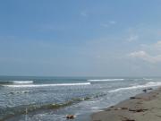 Top San Bernardo del Viento Top San Bernardo del Viento