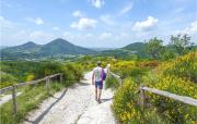 Top San Bortolo