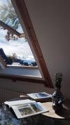 Top Jelenia Góra