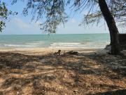 Top Surat Thani