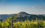 Top Motovun