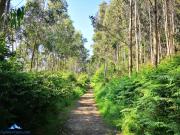 Ibinaga Seaview - Auto checking property